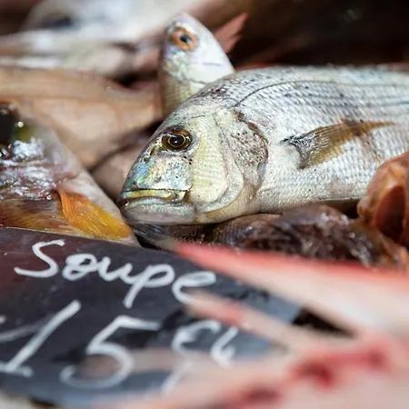 Near Croisette- 4 Star -seaview